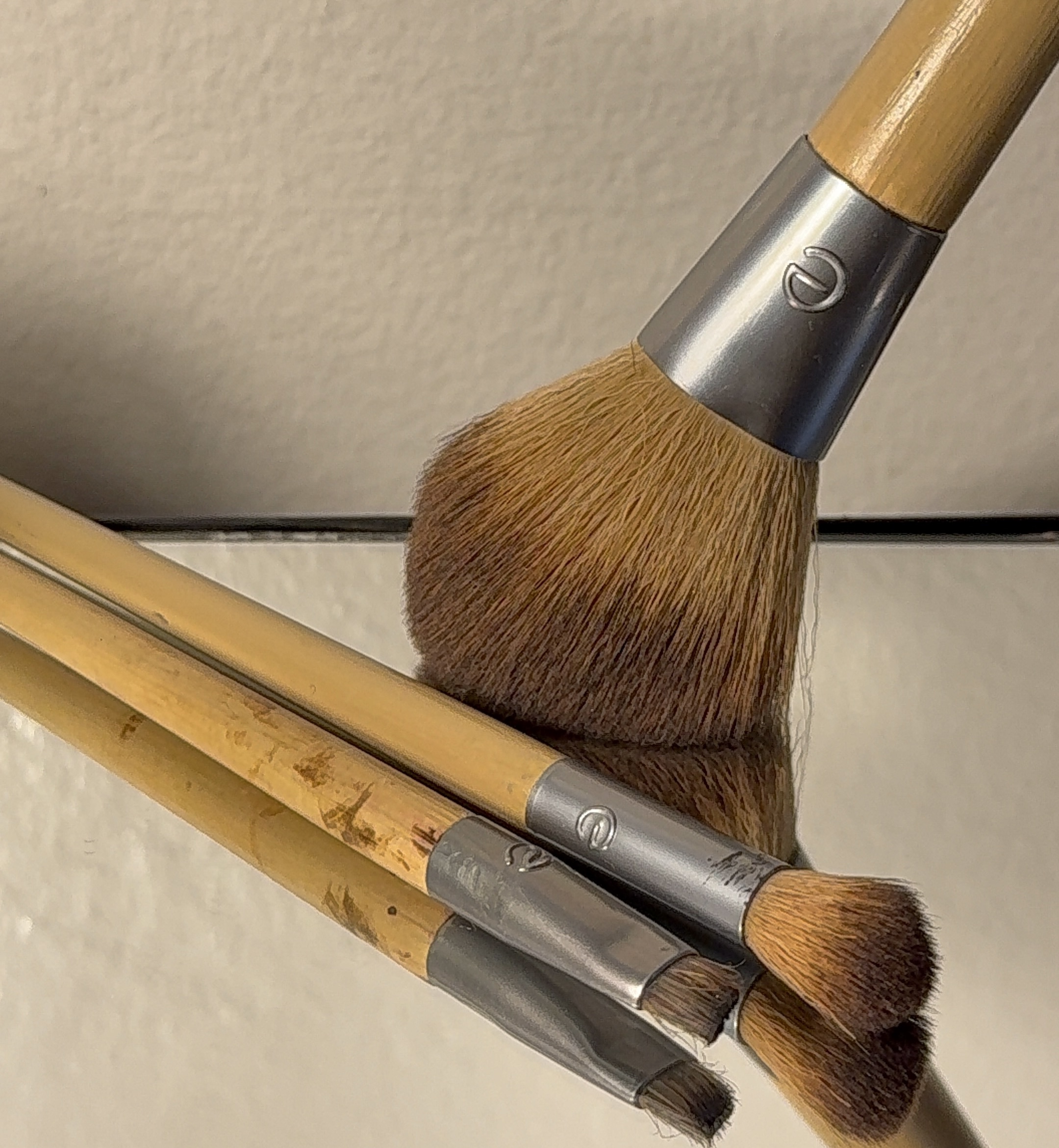 EcoTools Makeup Brush Set